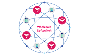 Wholesale Softswitch